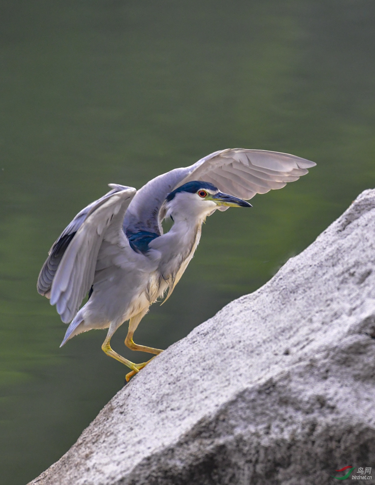 DSC_6172.jpg