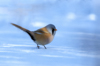 1 (72).JPG