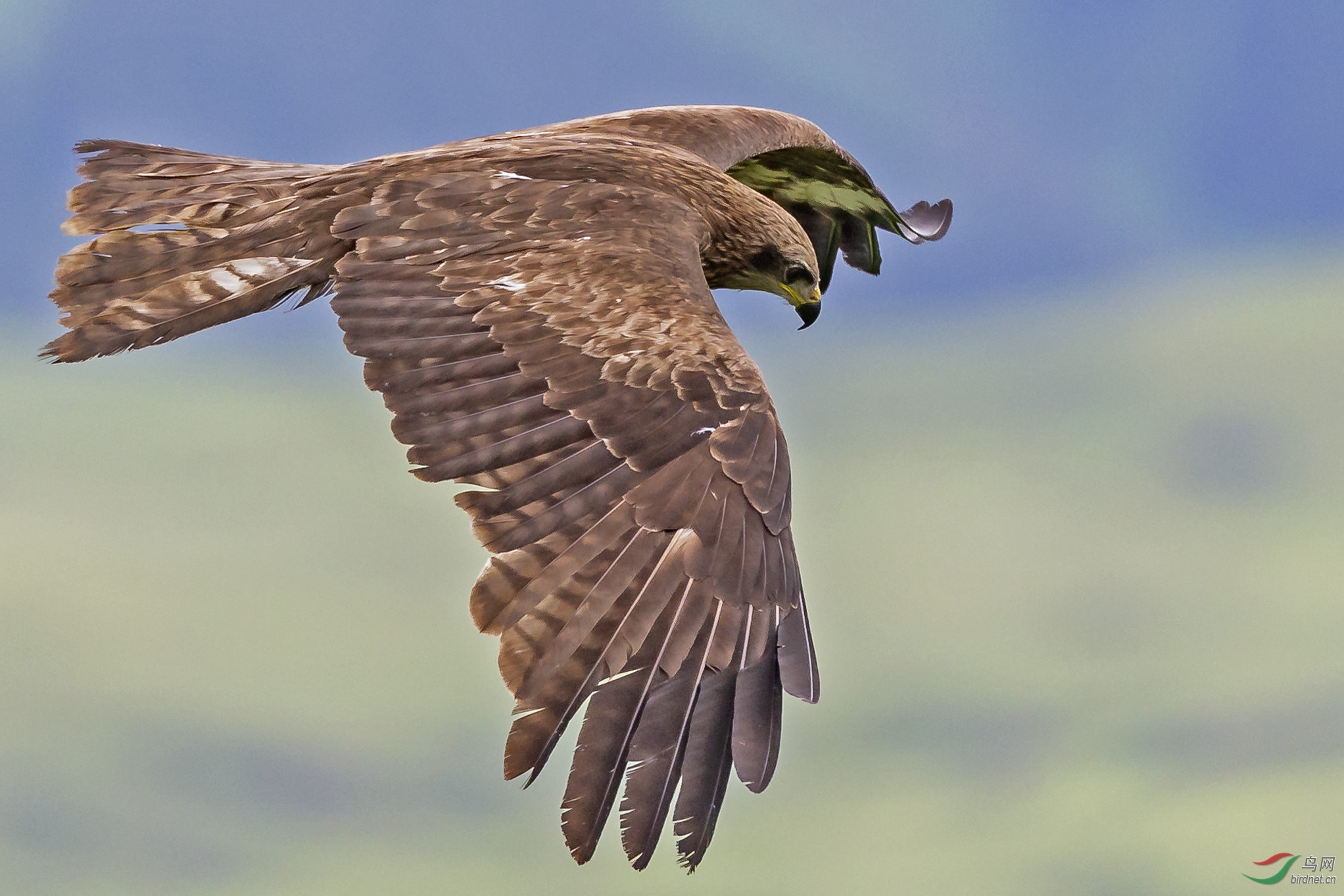 Ѱ������