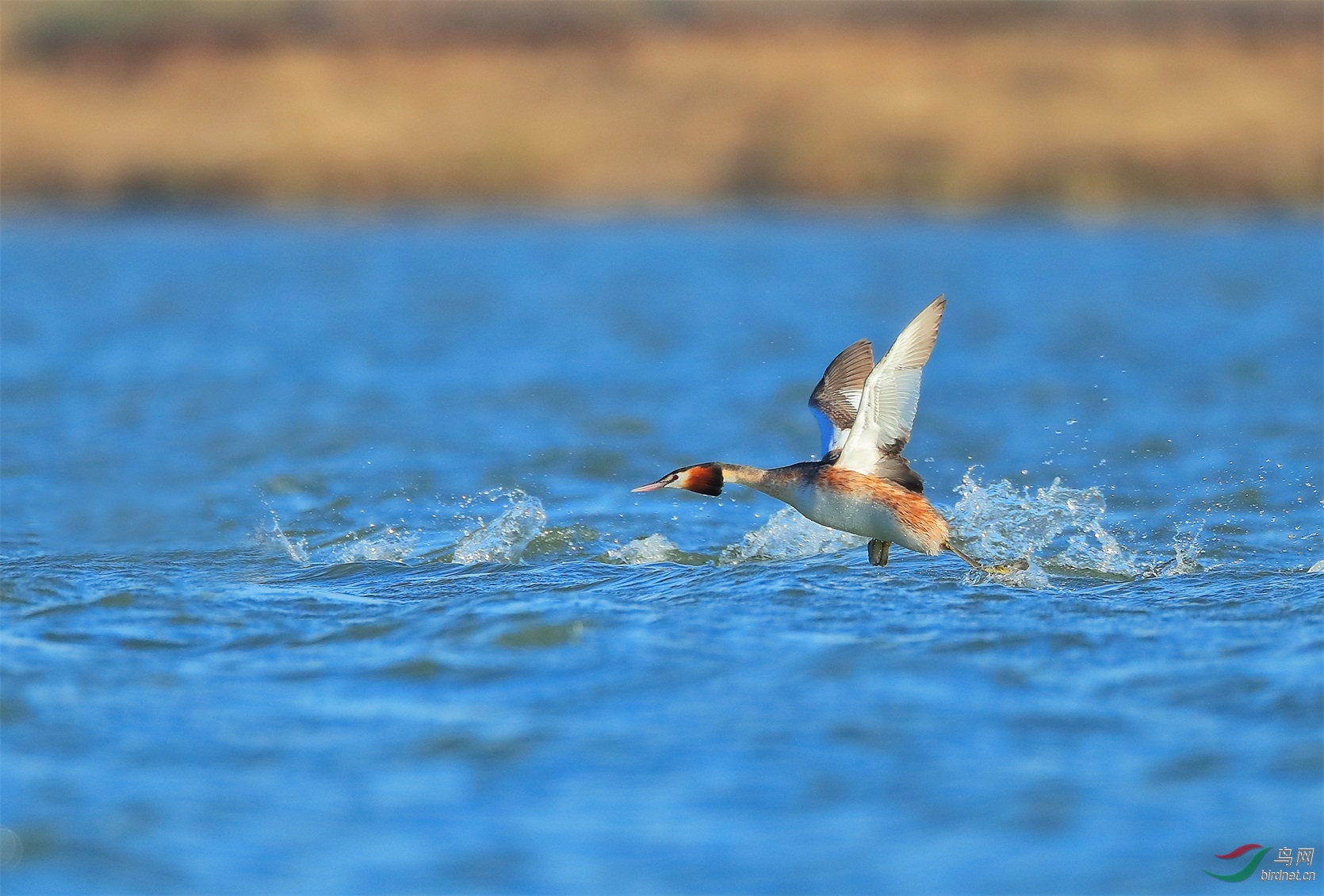 888 - ����.JPG