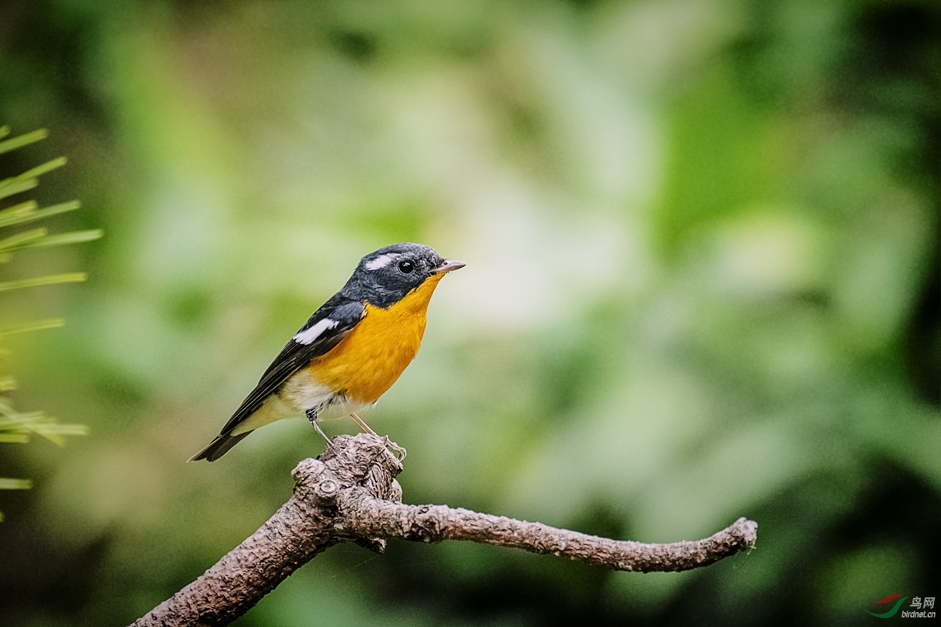 _DSC4260.jpg