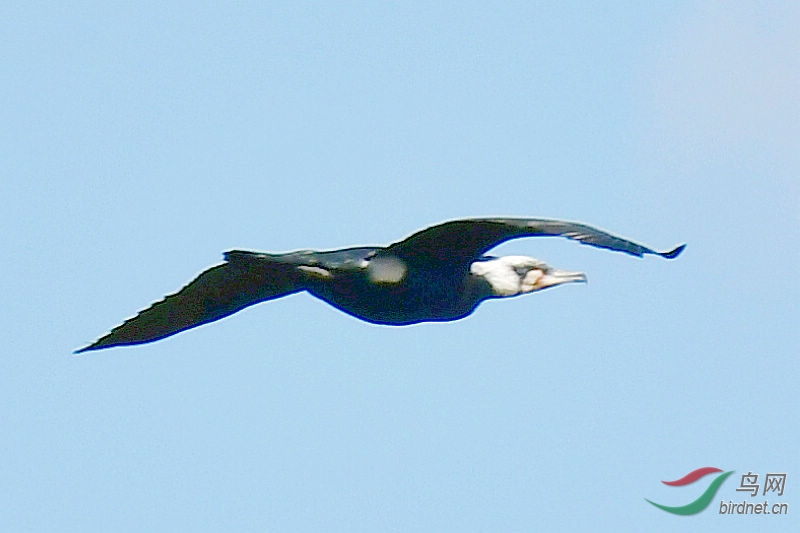 DSC_6947.jpg