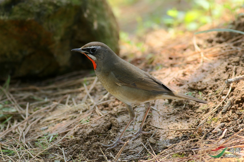 367A2970_����.jpg
