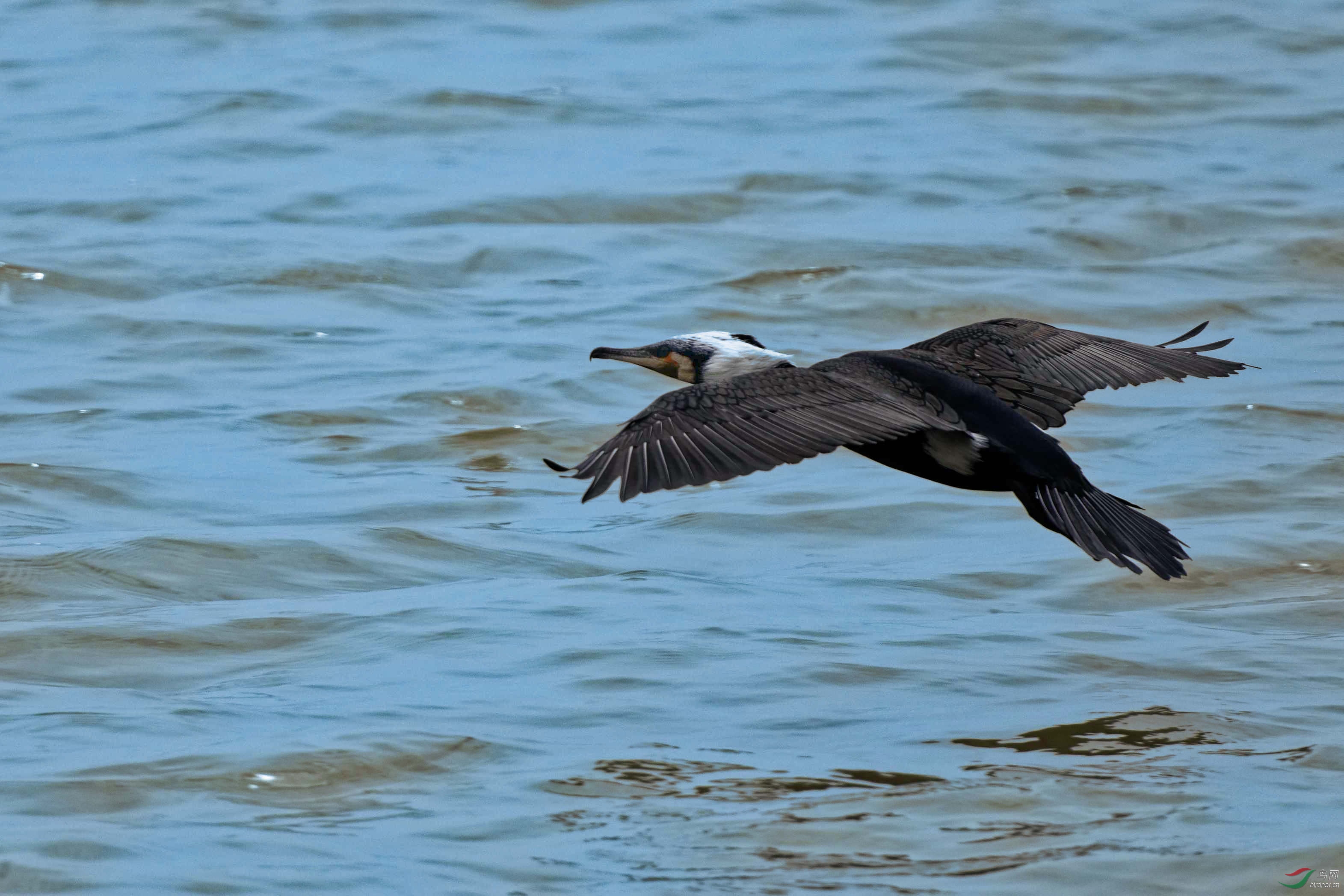 IMG_2785_DxO.jpg