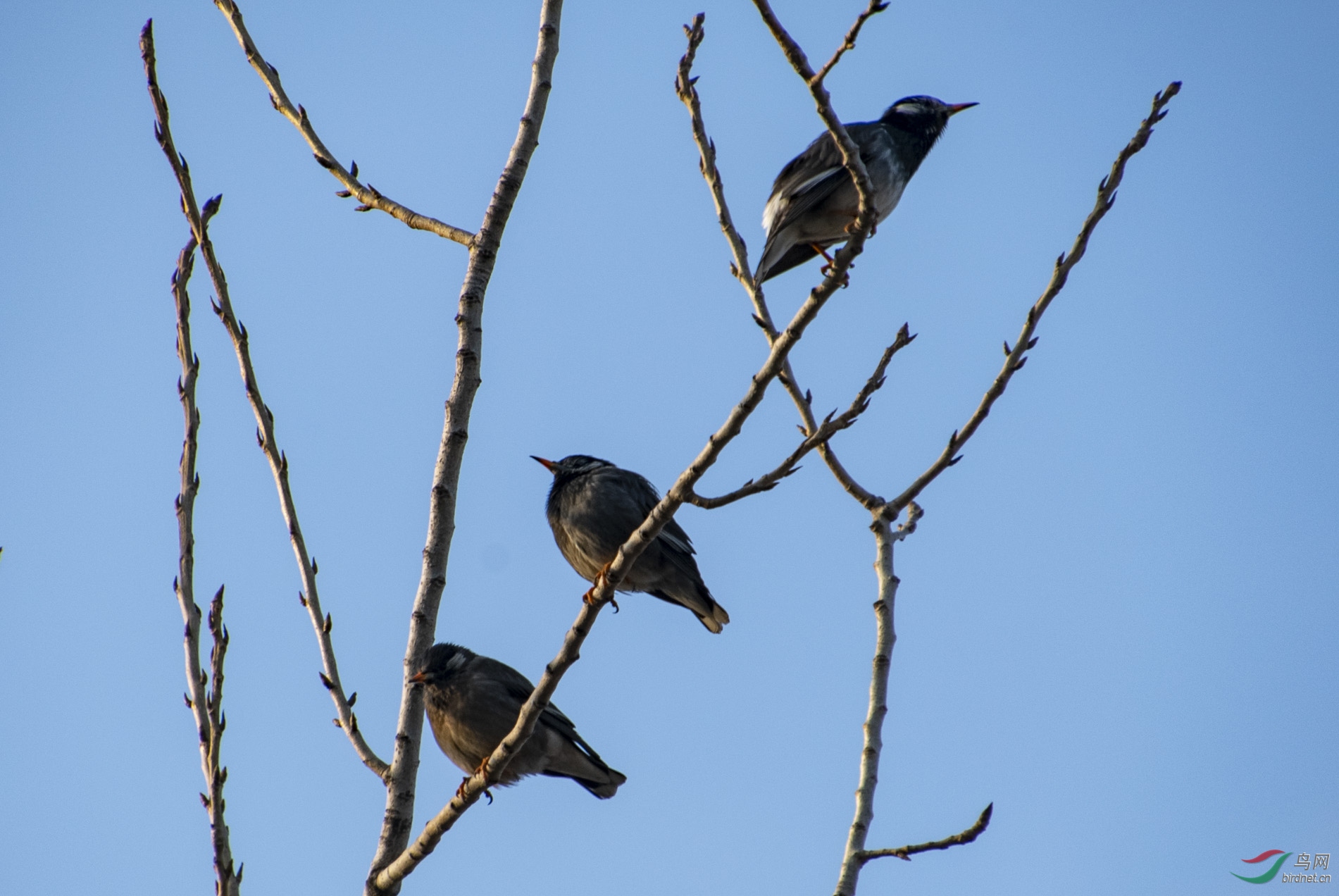 D50_7345.jpg