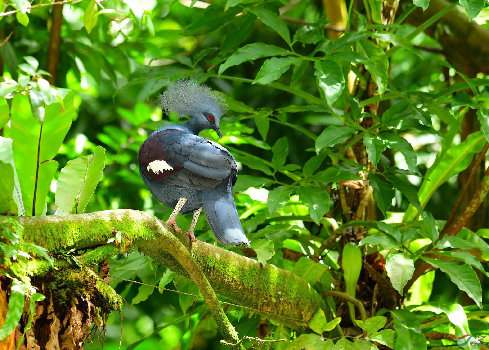 DSC_4698.JPG
