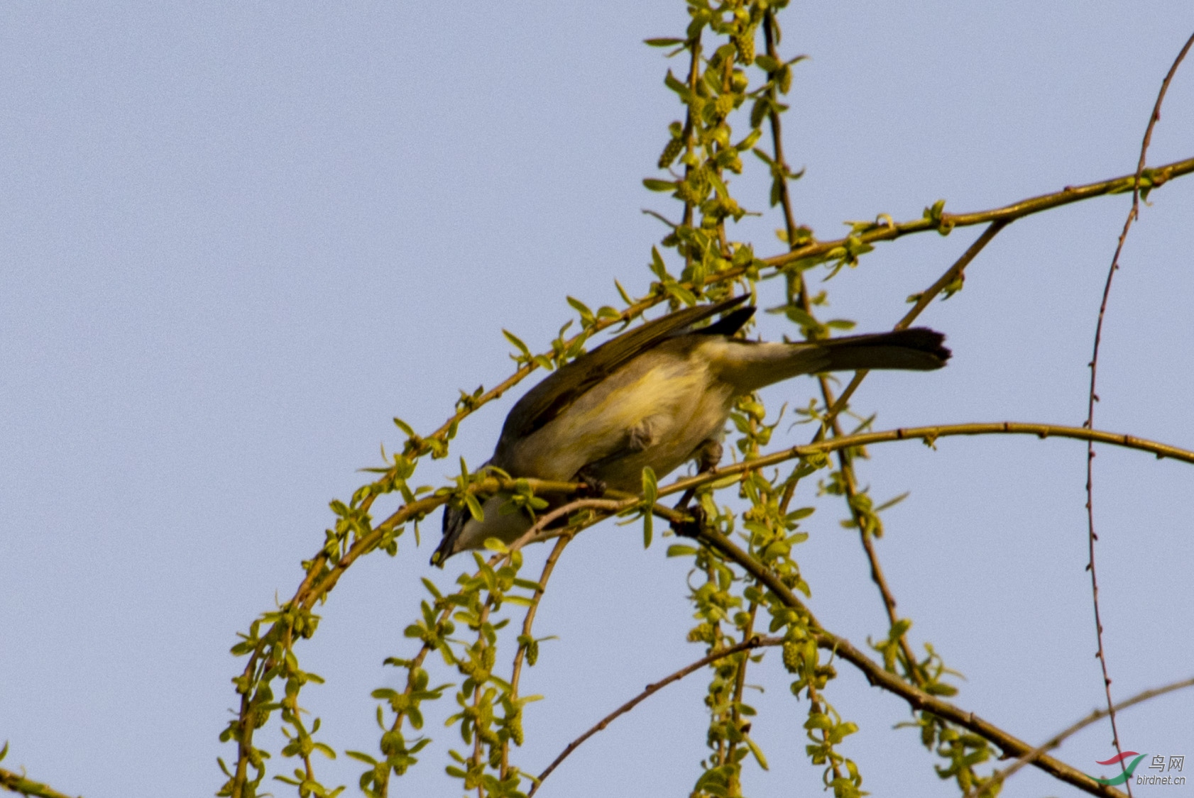 D50_7320.jpg
