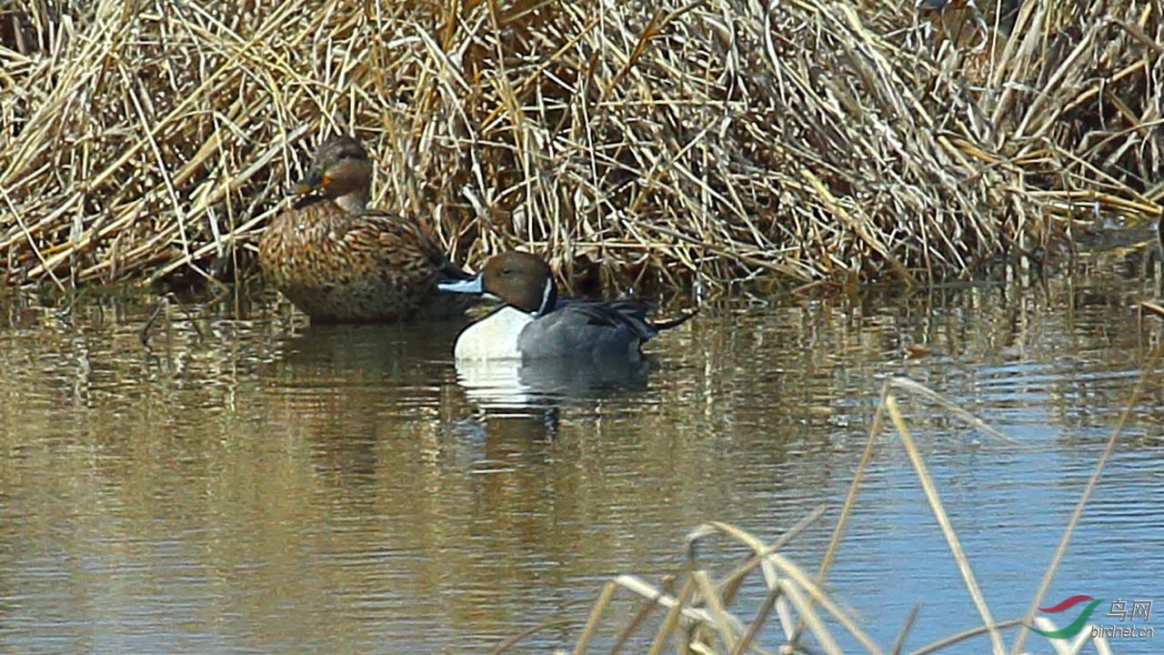 aIMG_4492.JPG