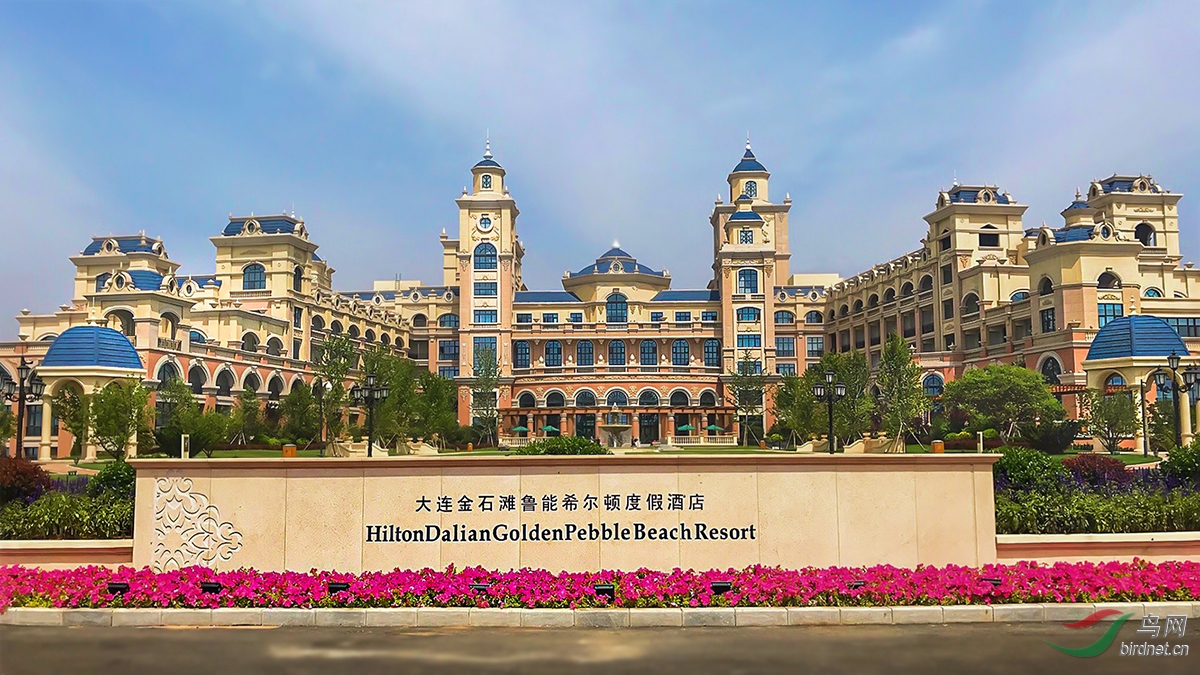 ������ʯ̲ ����.jpg