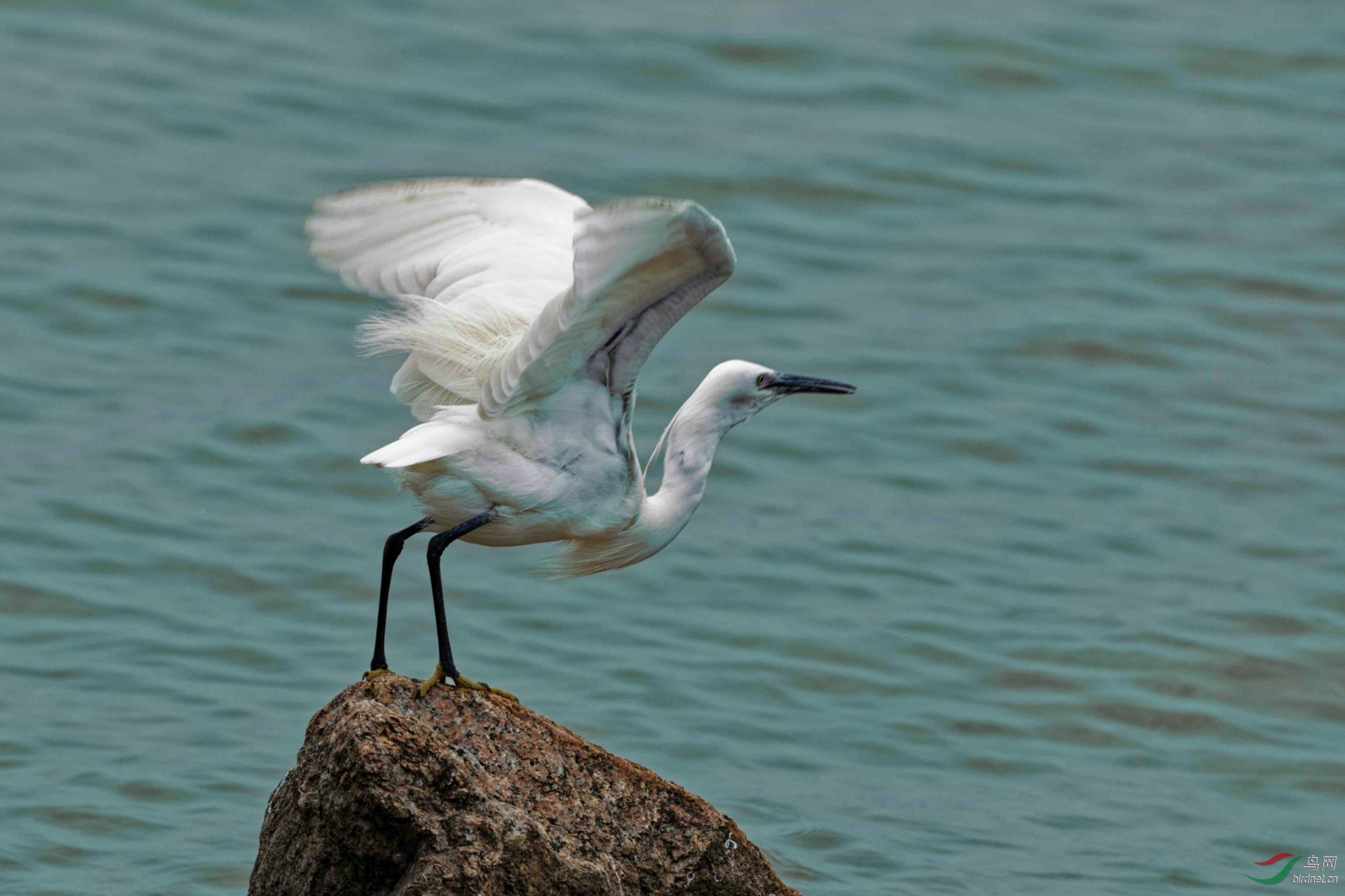 IMG_2852_DxO.jpg