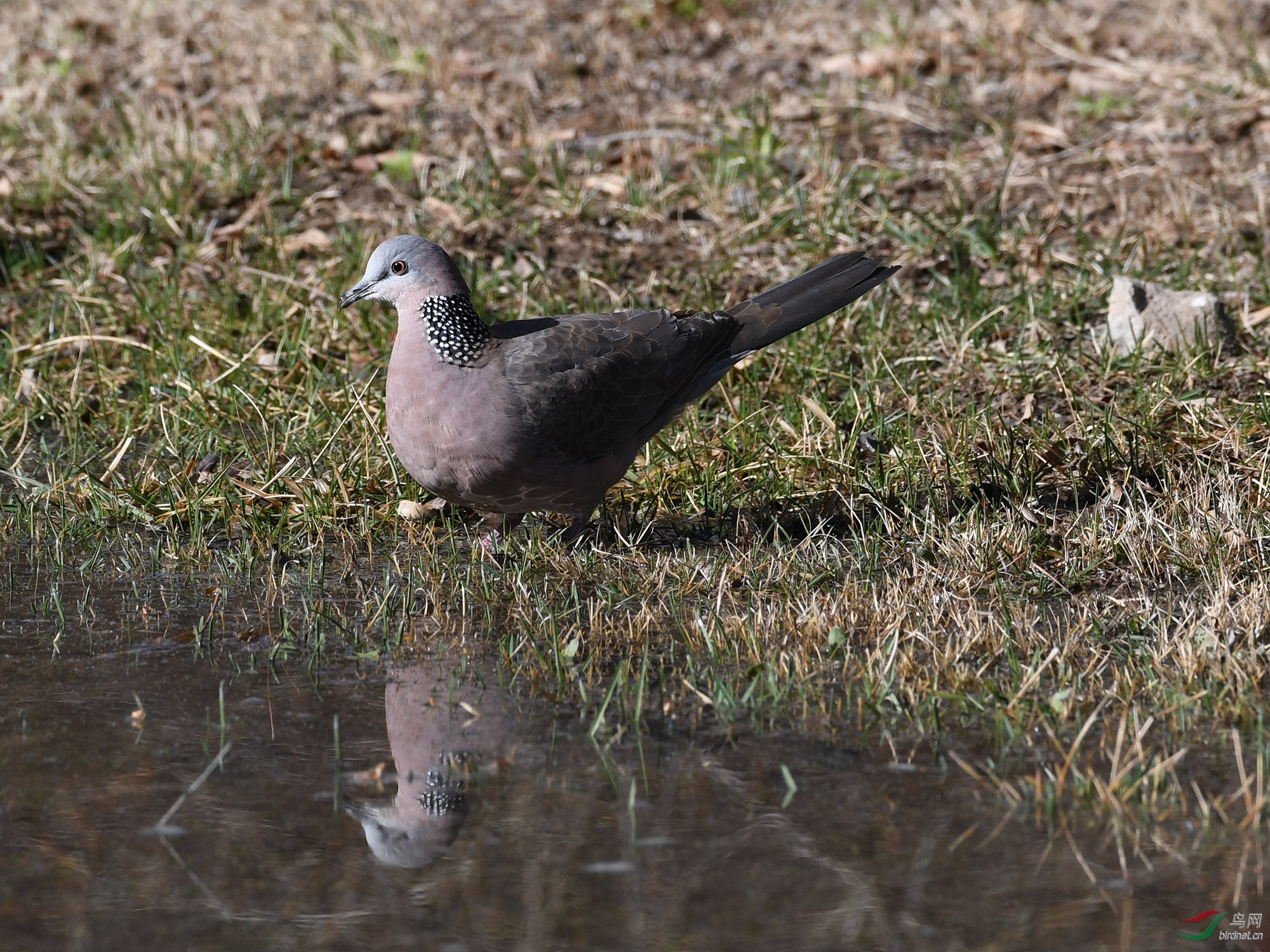 ������Ӱ 104����.jpg