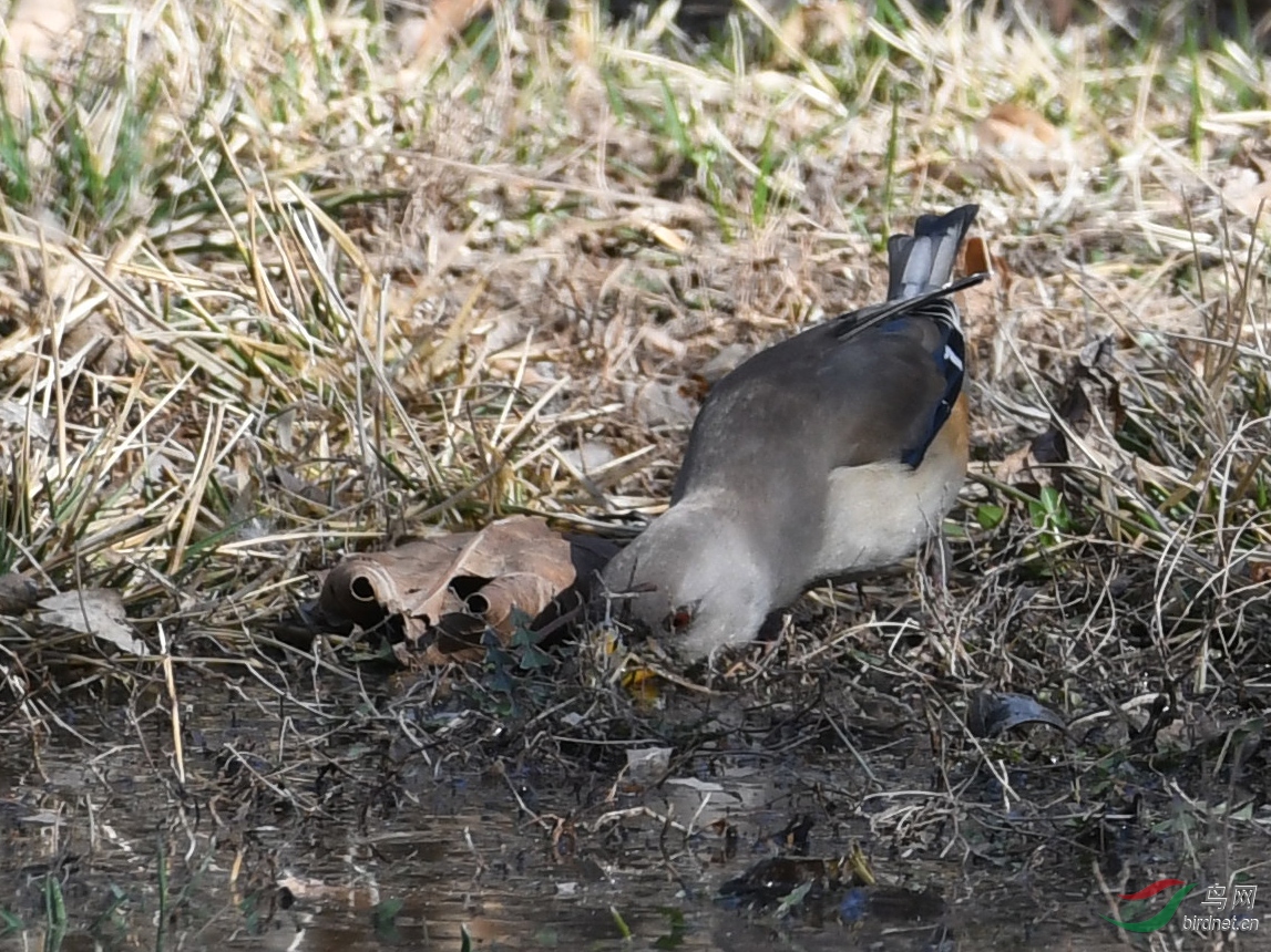 ������Ӱ 132����.jpg