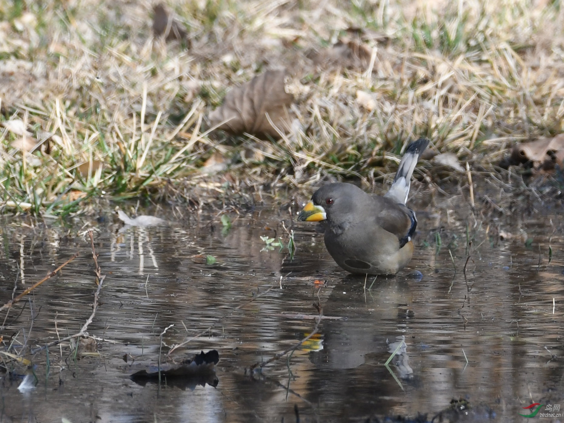 ������Ӱ 143����.jpg