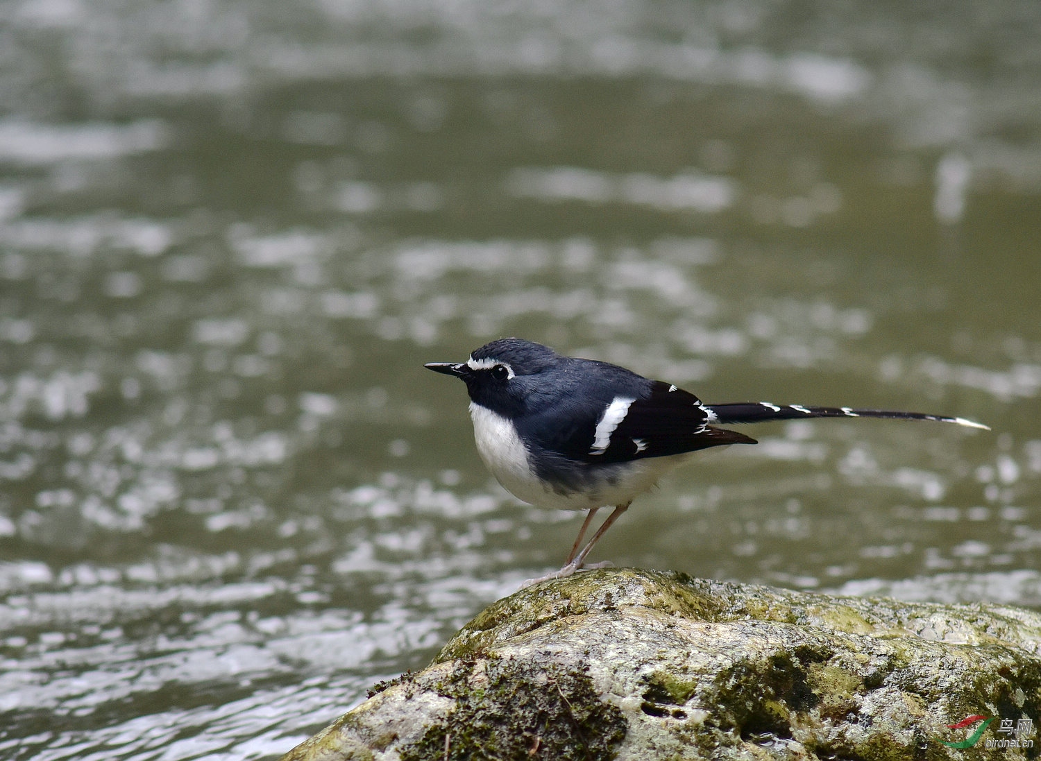 D8I_1390.jpg