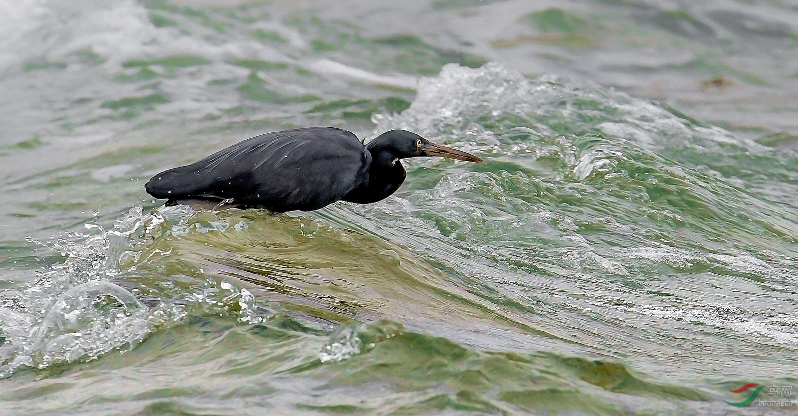 DSC_5723 (2)_����_����_����.jpg