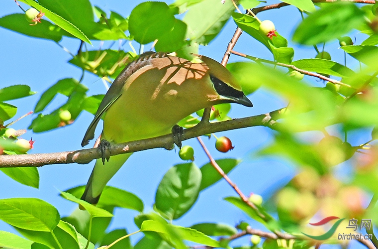 DSC_3062---.jpg