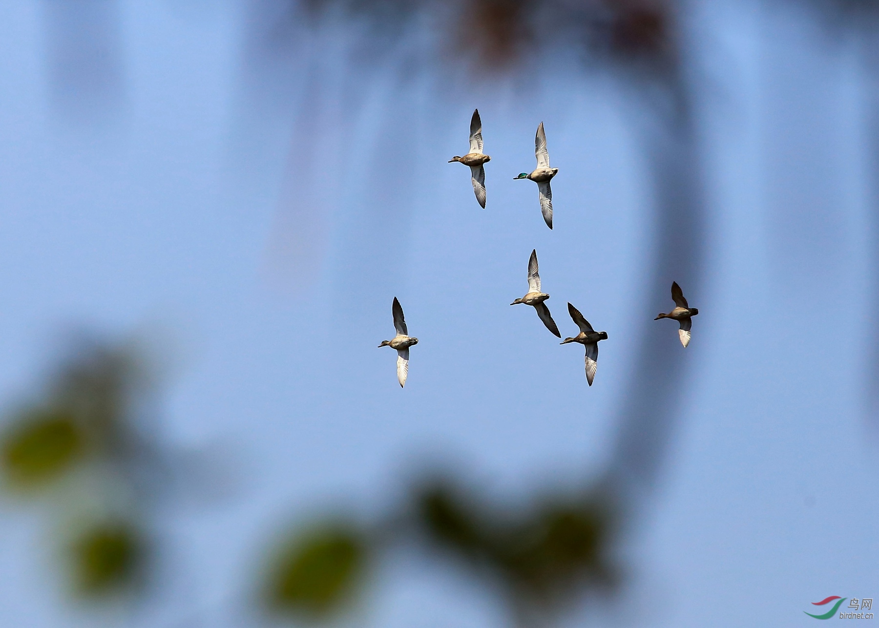 2020-03-15 13-58-41 (2).JPG