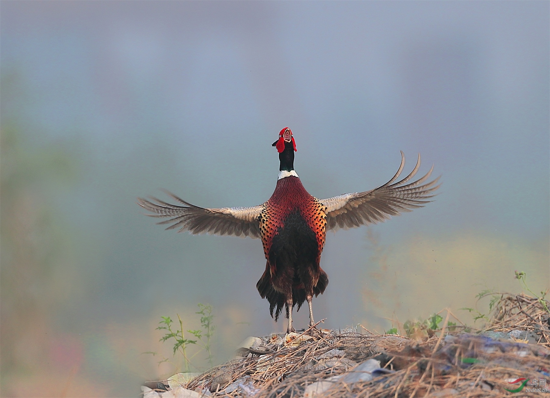 12 - ����.JPG