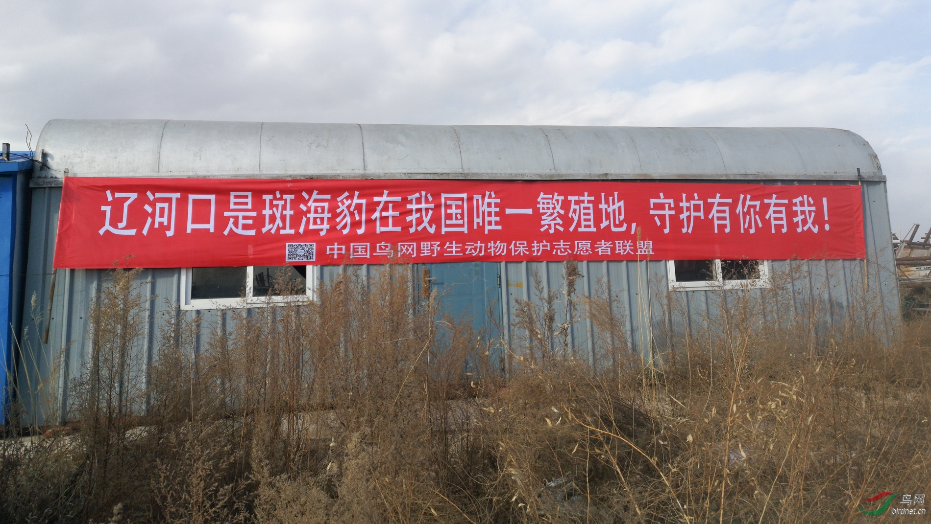 06.jpg