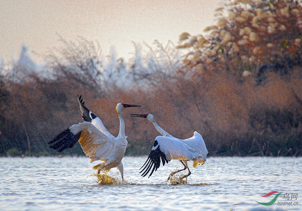 nEO_IMG__E5W89133 - ����.jpg