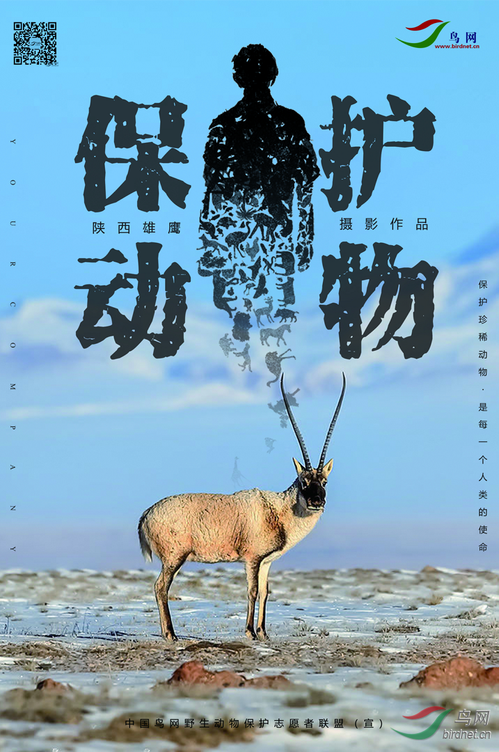 ΢�Ž�ͼ_20200316155522.png