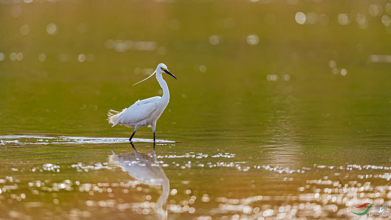 ��ͥ�Ų������أ�  .jpg