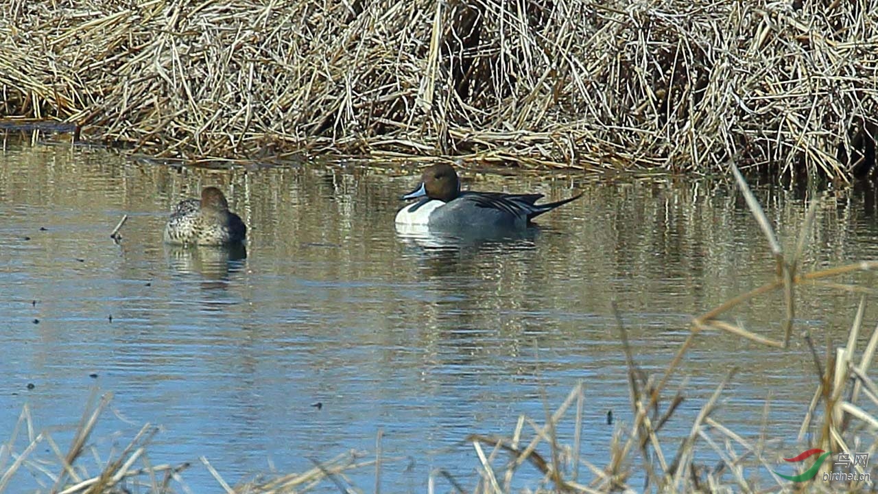 aIMG_4505.JPG