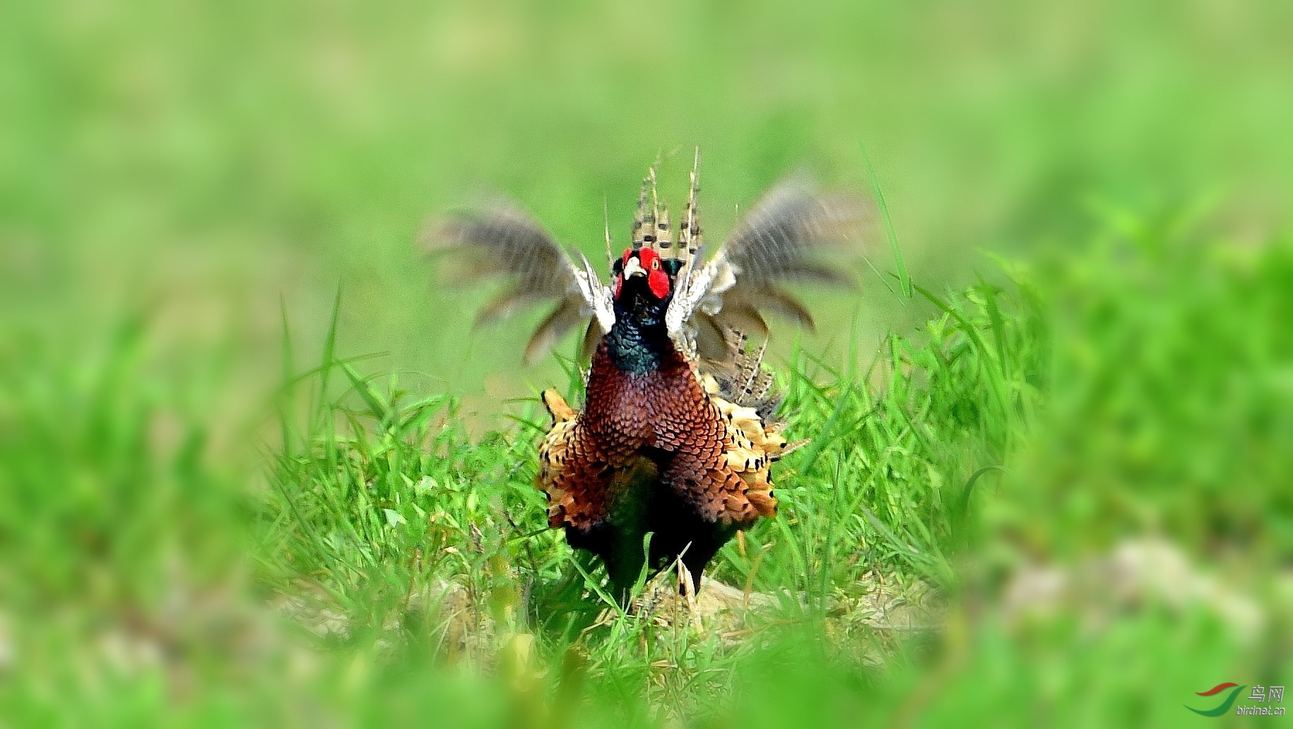 DSC_6401_conew7.jpg