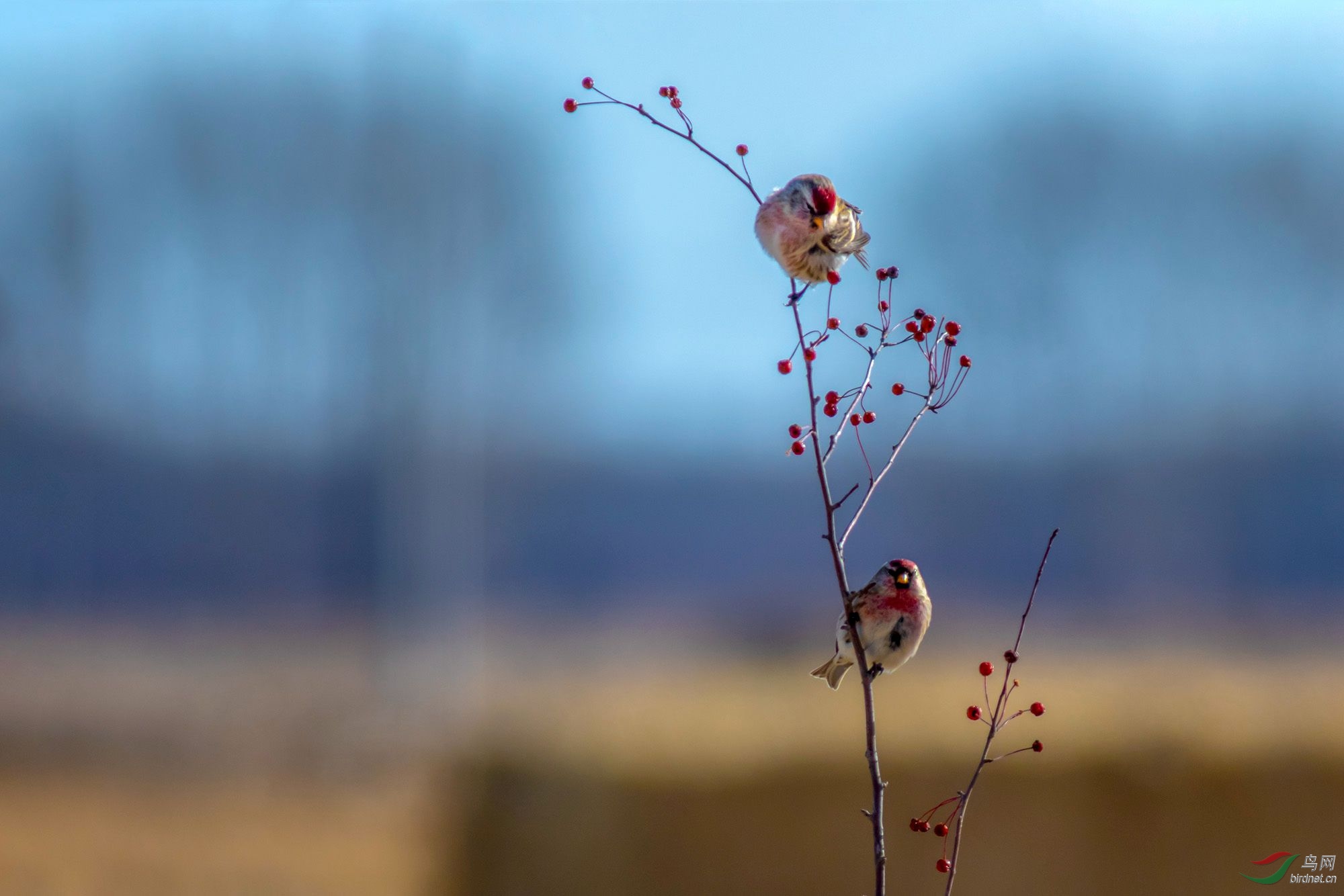 4J2A6949_2019.11.15-������ �ڸ�ɶ.jpg