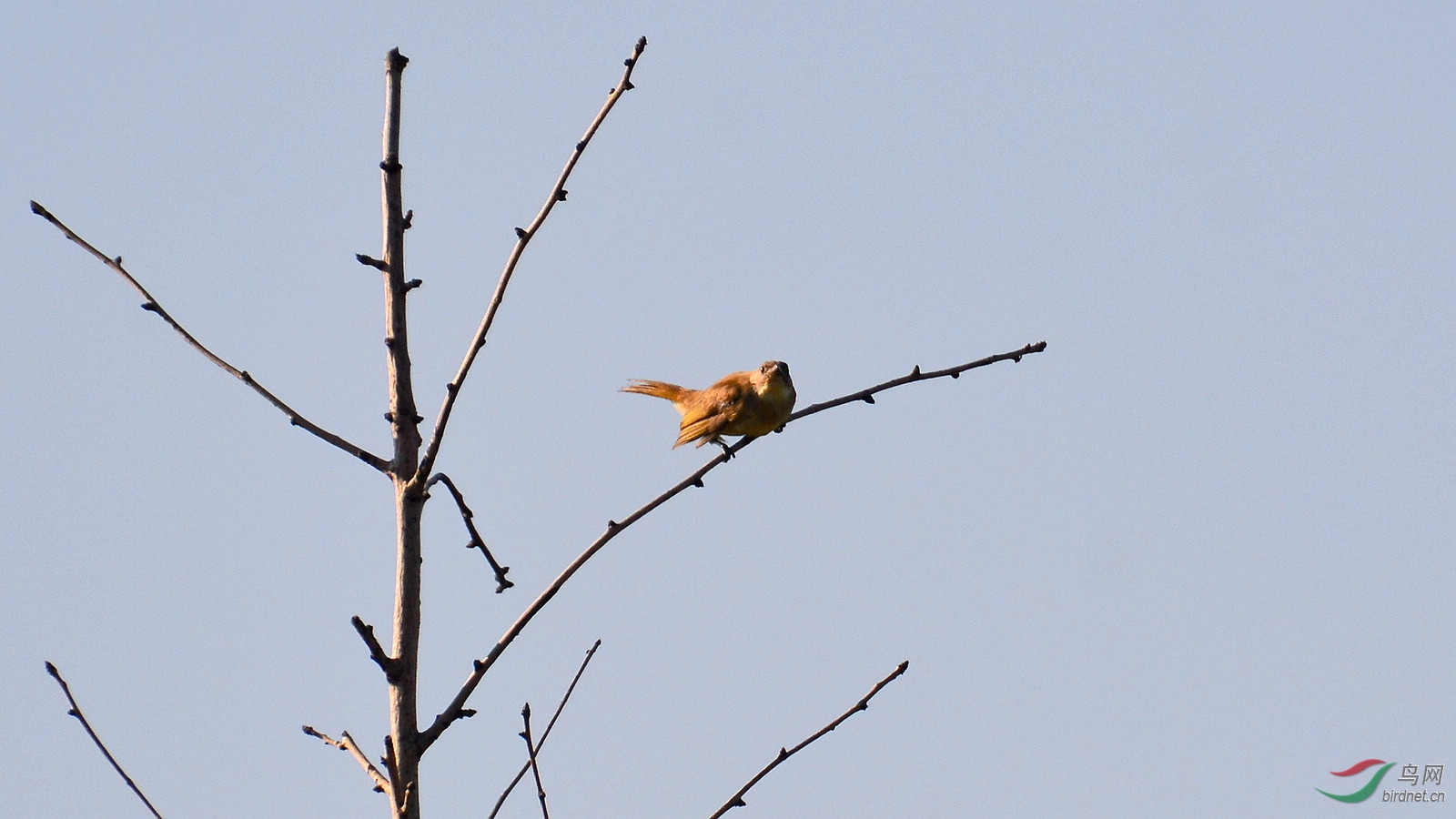 DSC_9680.JPG