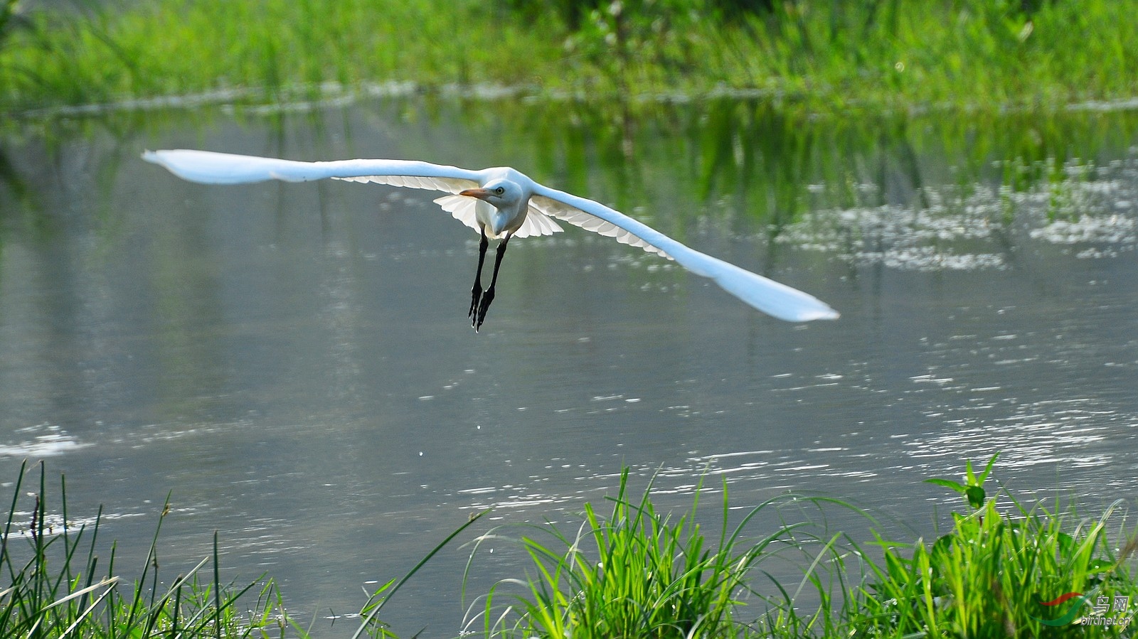 DSC_7115.JPG