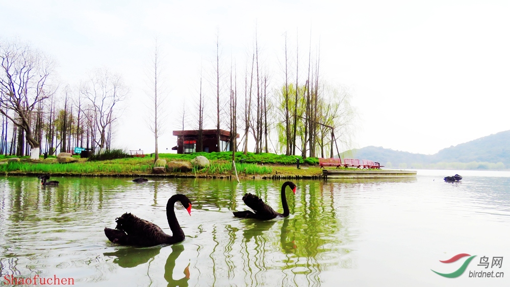 IMG_9254 - ����.JPG