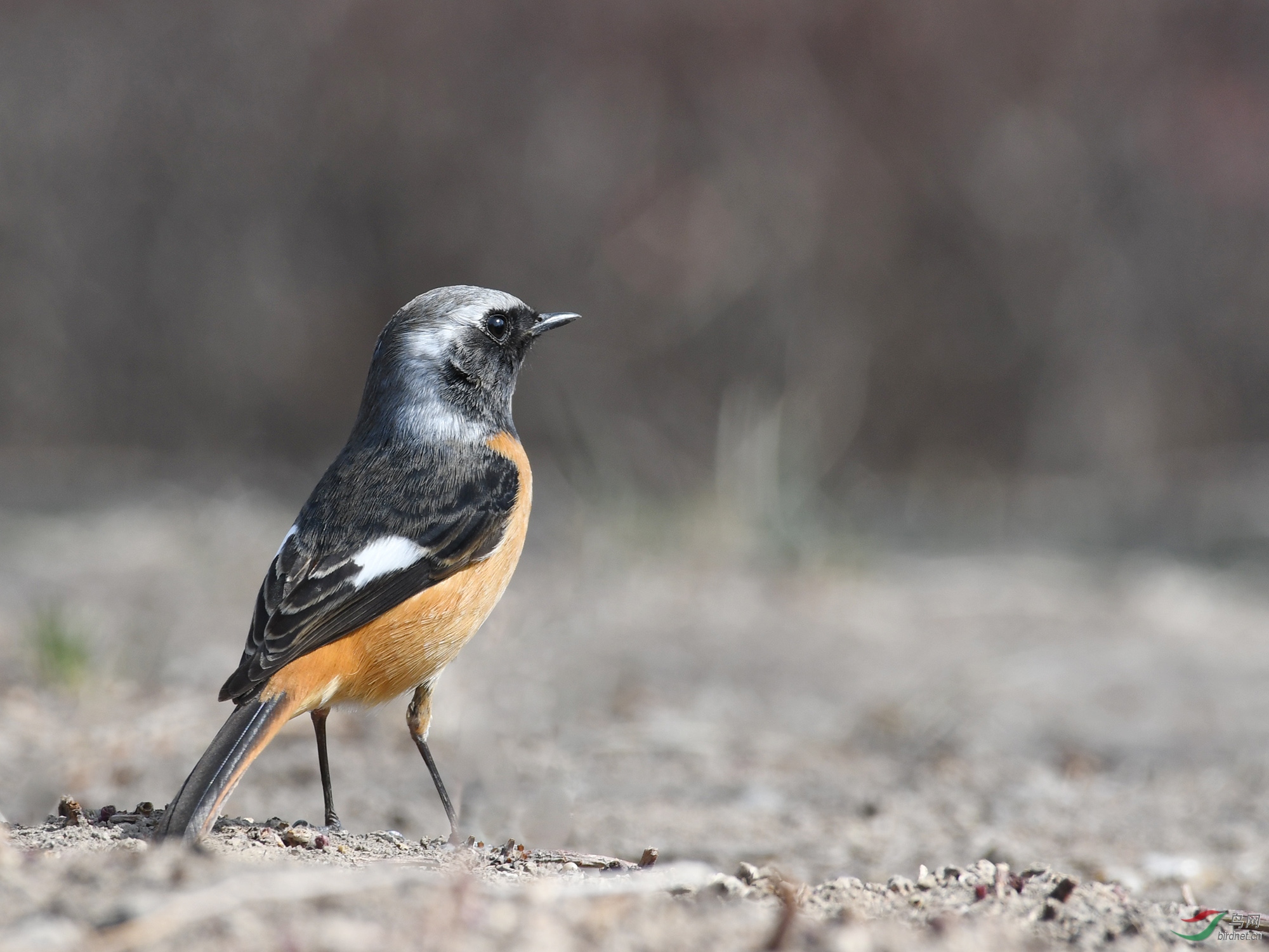 ������Ӱ 166����.jpg