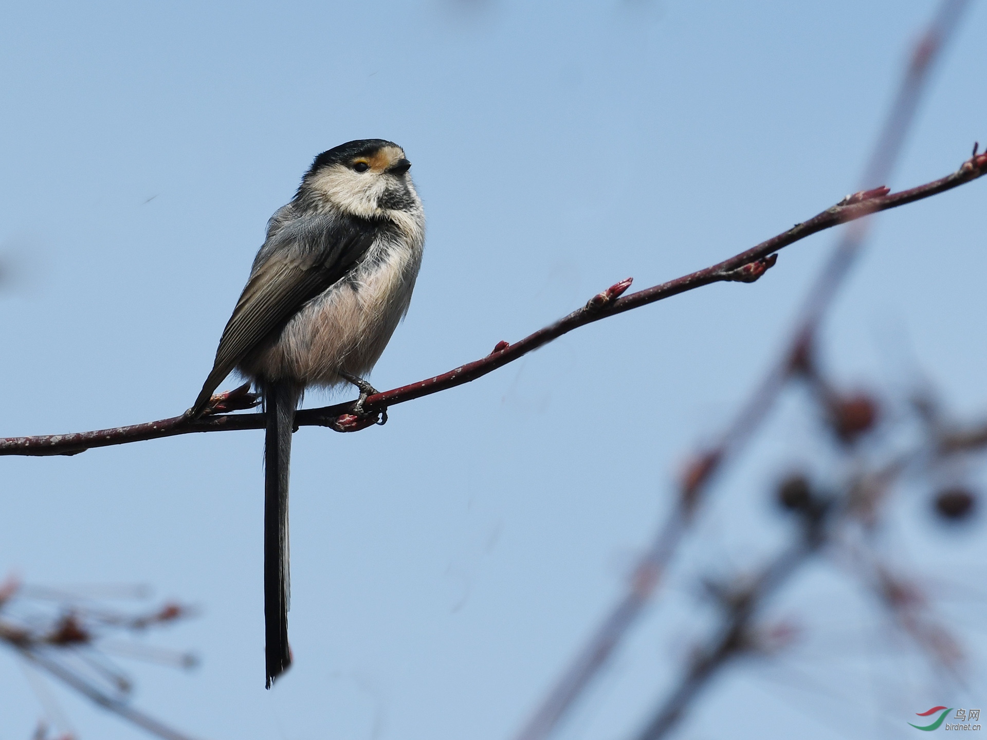 ������Ӱ 325����.jpg