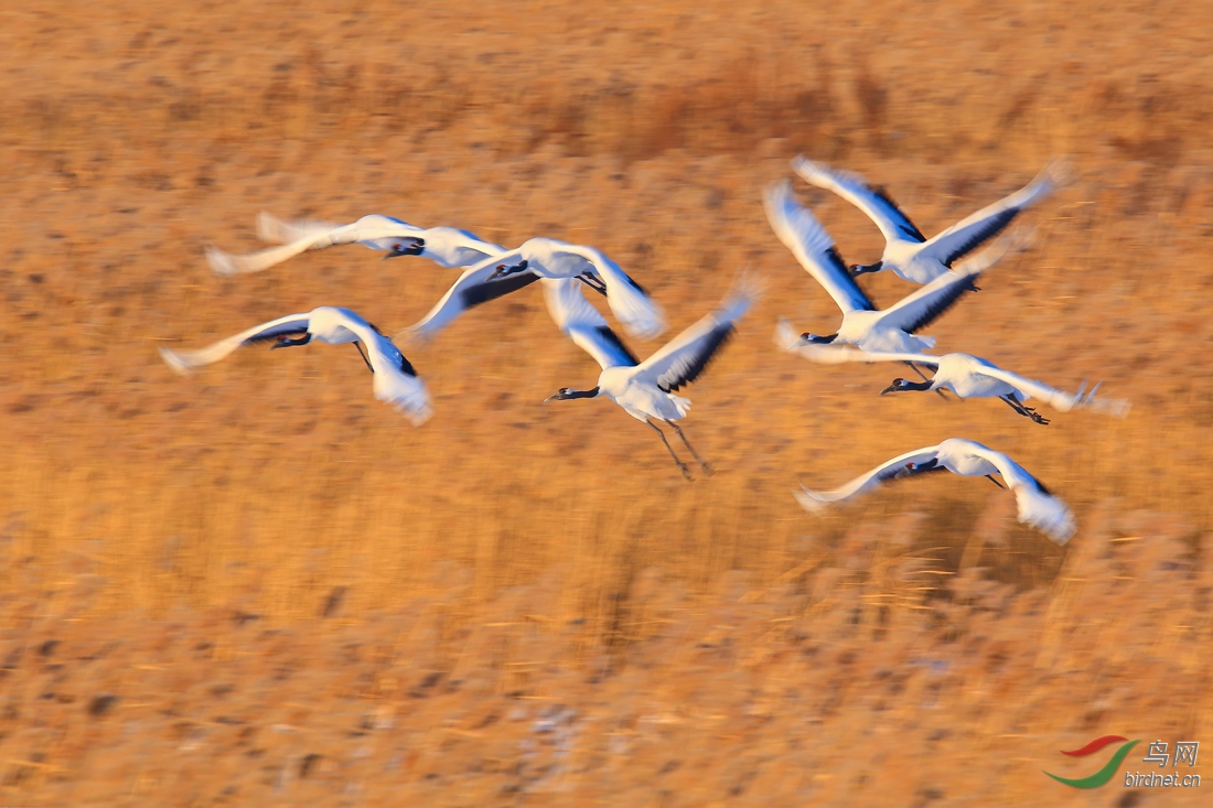 έ������