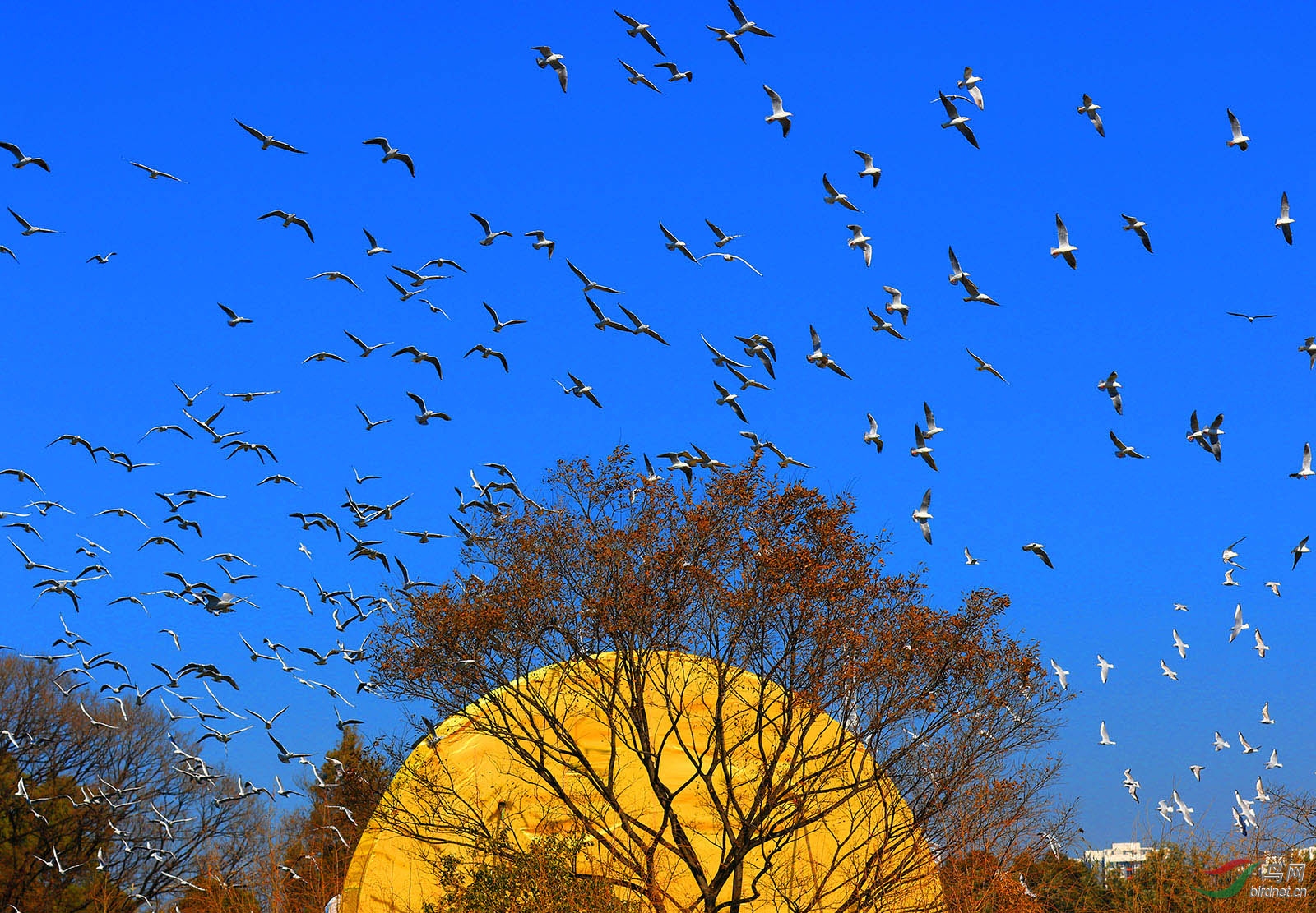 ����Ÿ001 .JPG