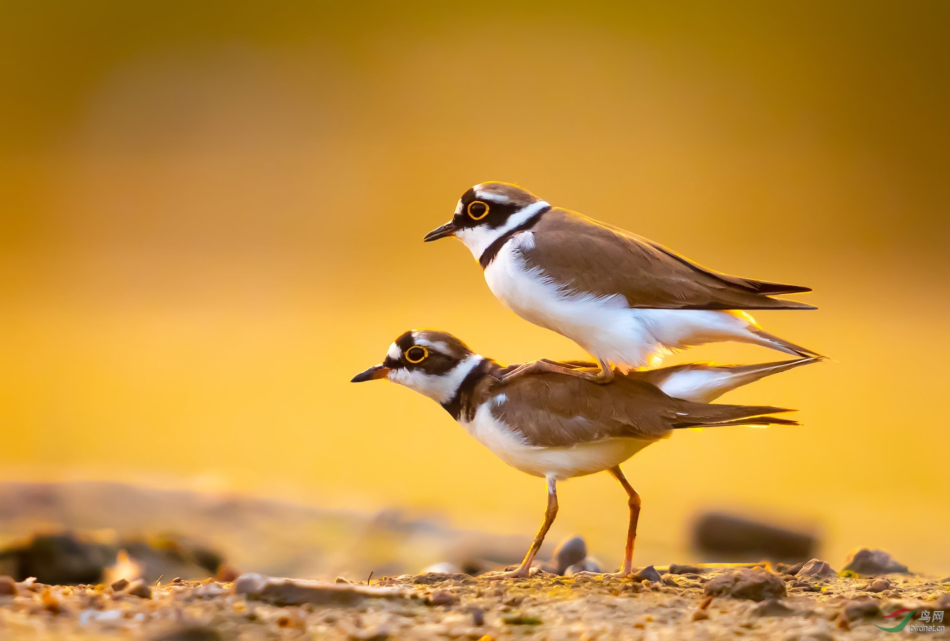 DSC_0070 ����.jpg