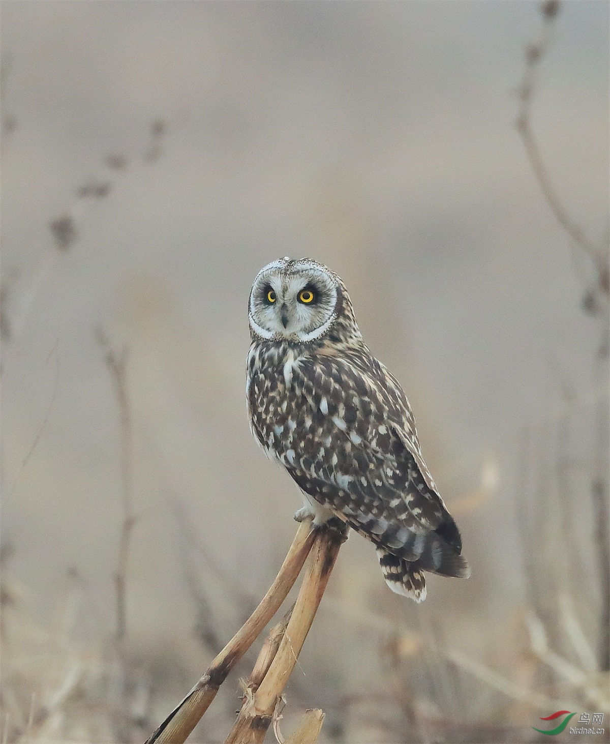 3222 - ����.jpg