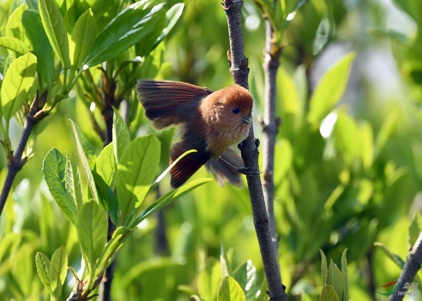 DSC_9089.jpg