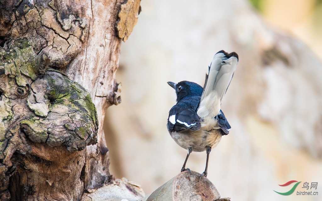 DSC_7544-2.jpg