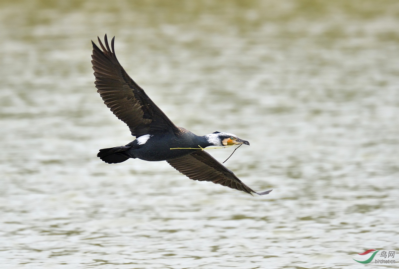 DSC_1421.jpg