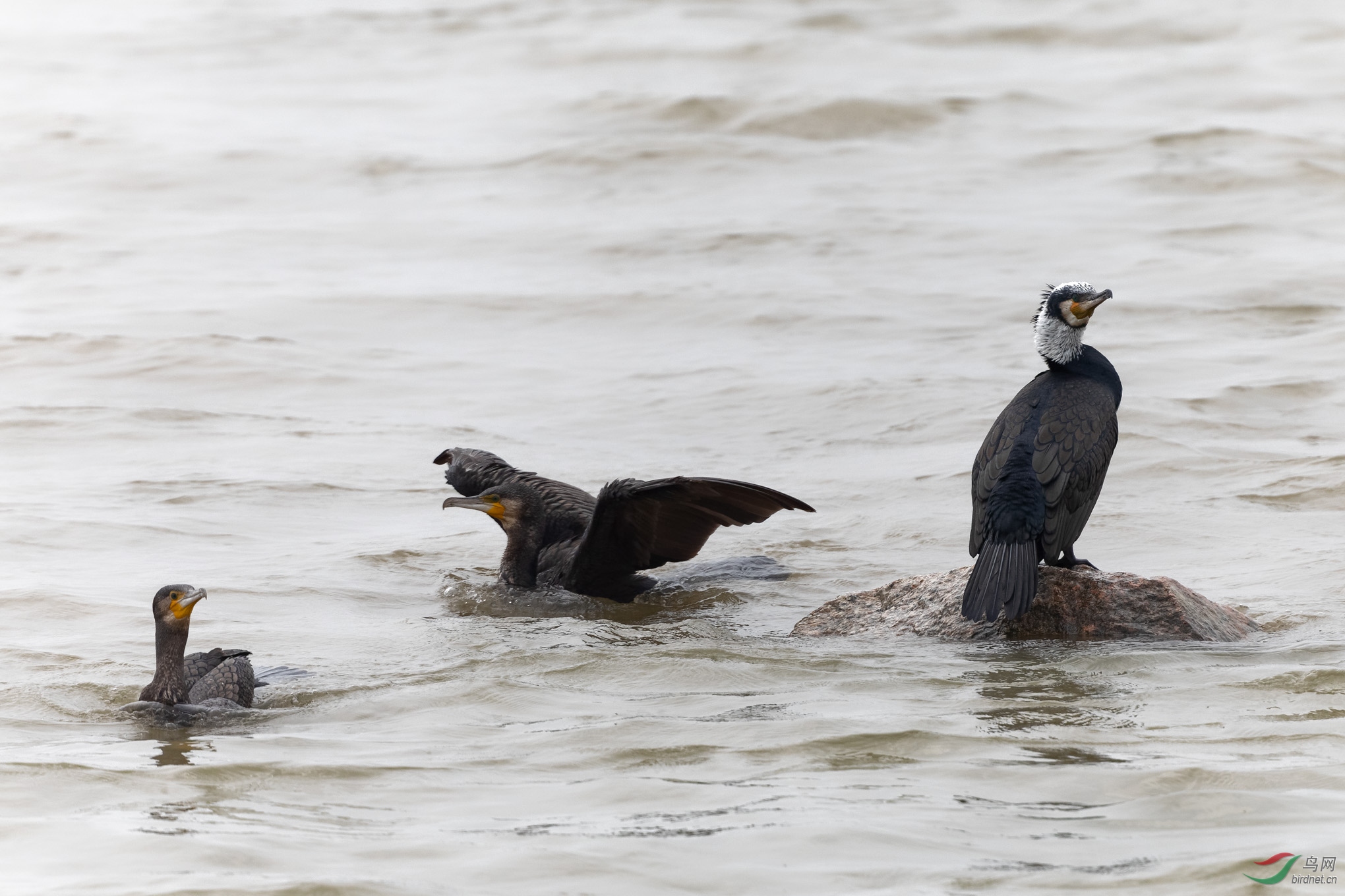 IMG_2766_DxO.jpg