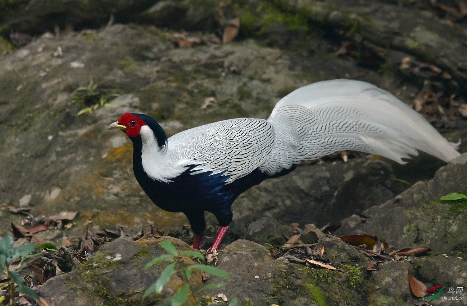 D72_3818.jpg