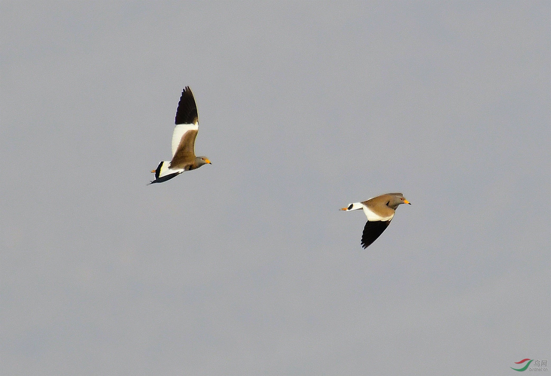 DSC_5543.JPG
