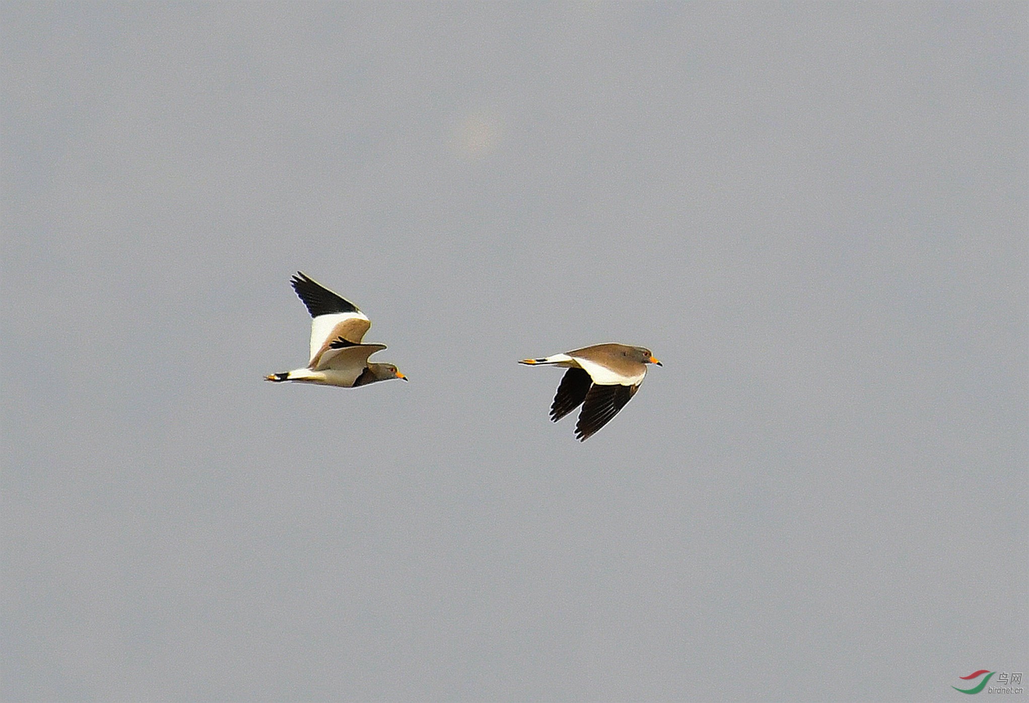 DSC_5541.JPG