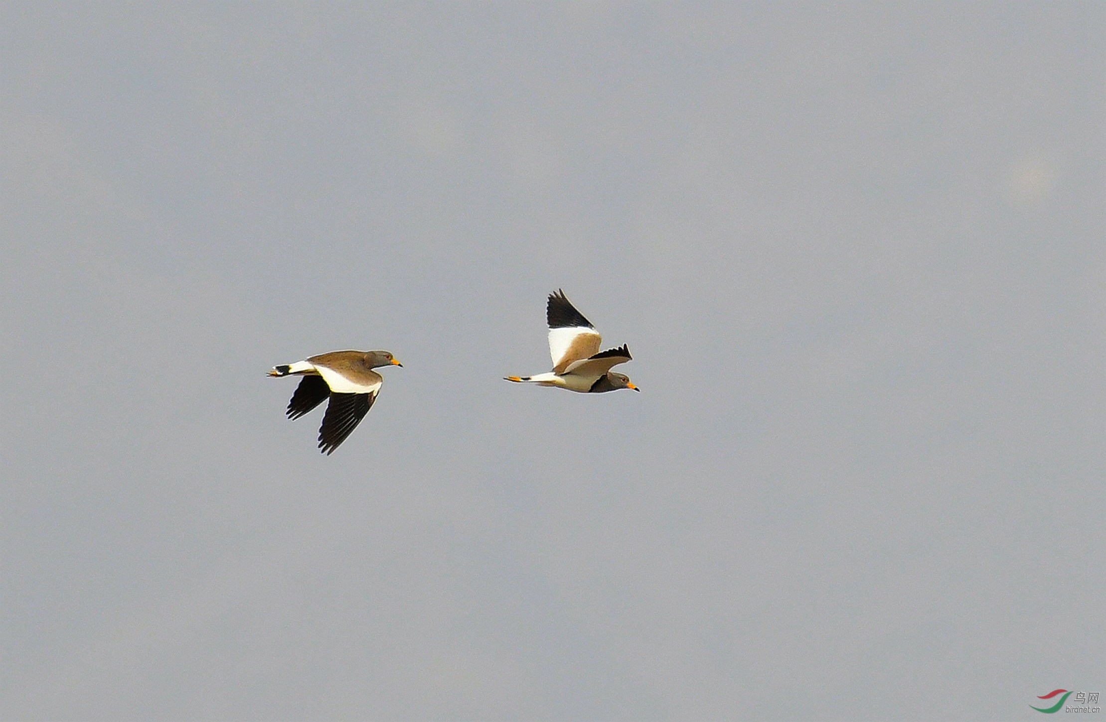 DSC_5540.JPG
