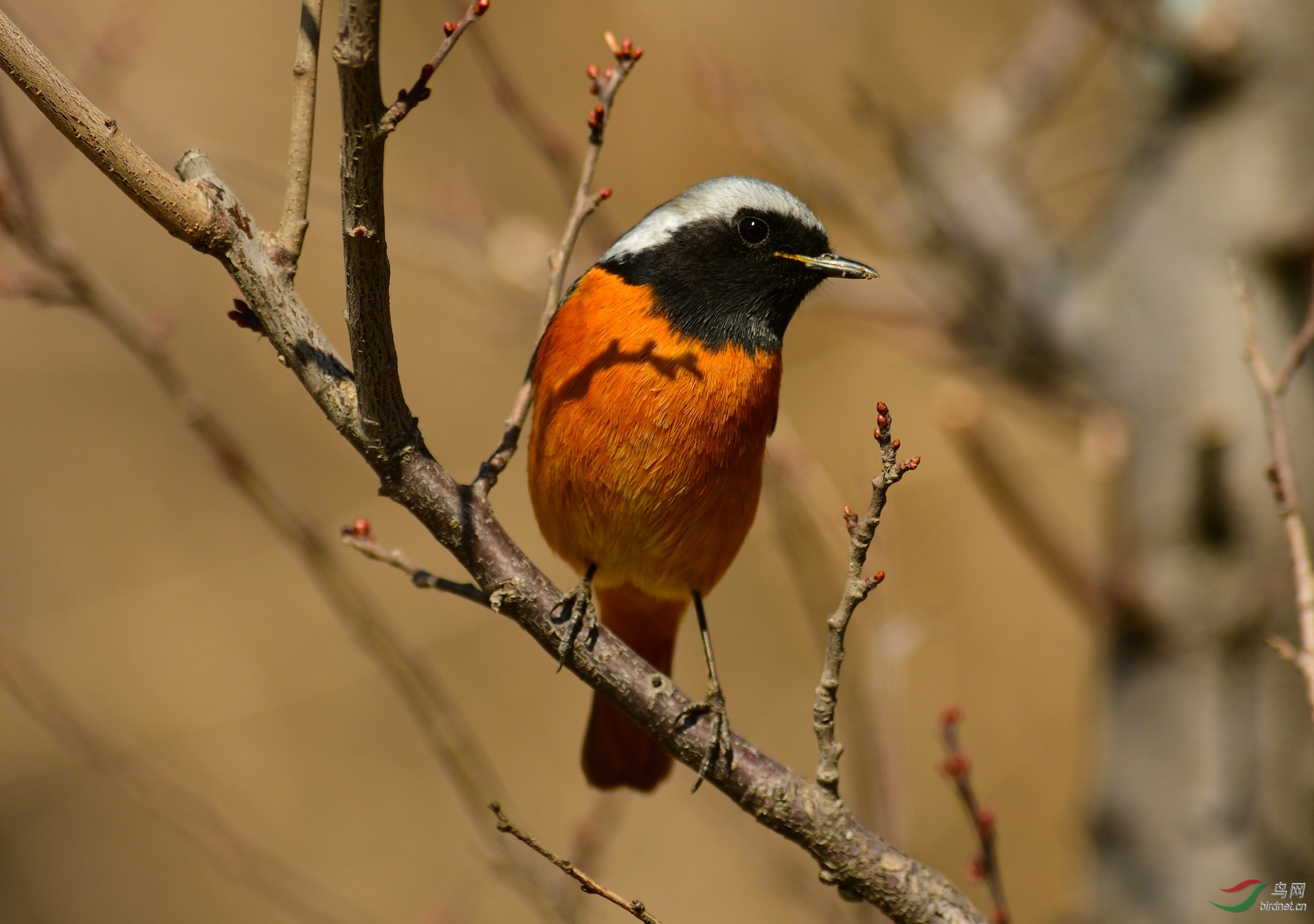 DSC_5442.JPG