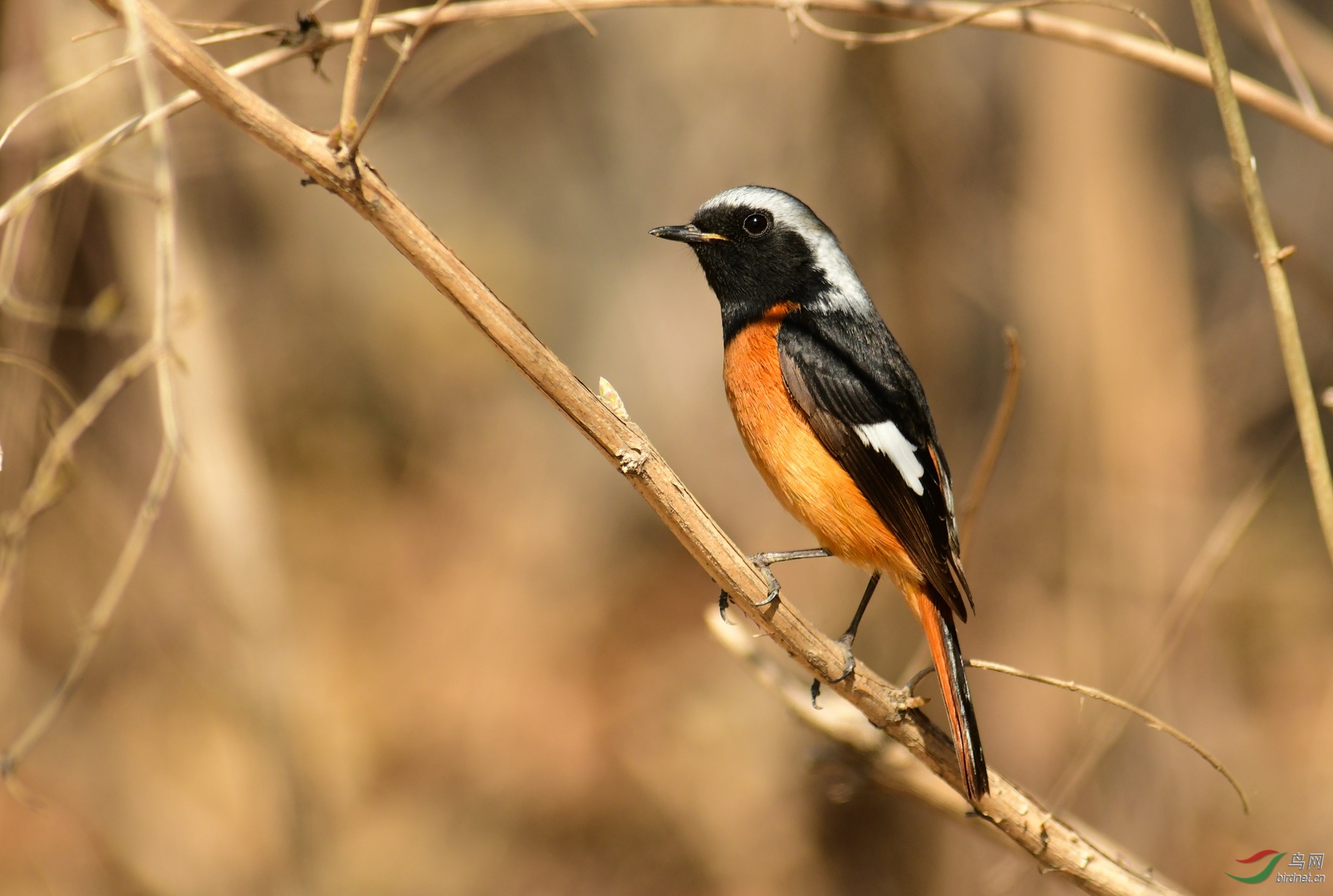 DSC_5406.JPG