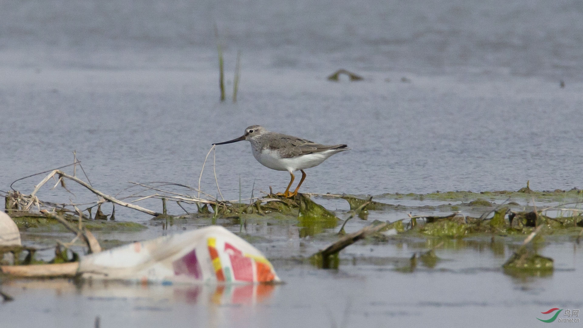 ����ʲô�֣�