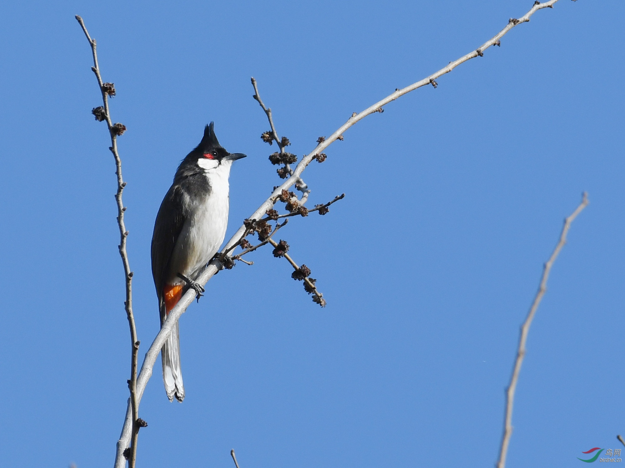 ������Ӱ 384����.jpg